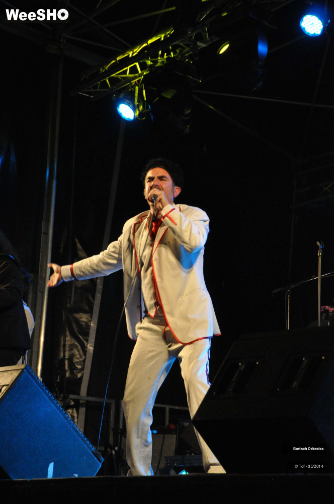 15/42 photos du spectacle Le Grand Bal du Bortsch Orkestra