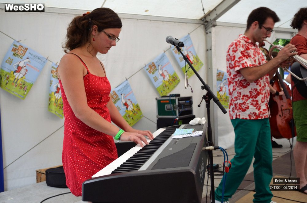 1/25 photos du spectacle Brics & brocs