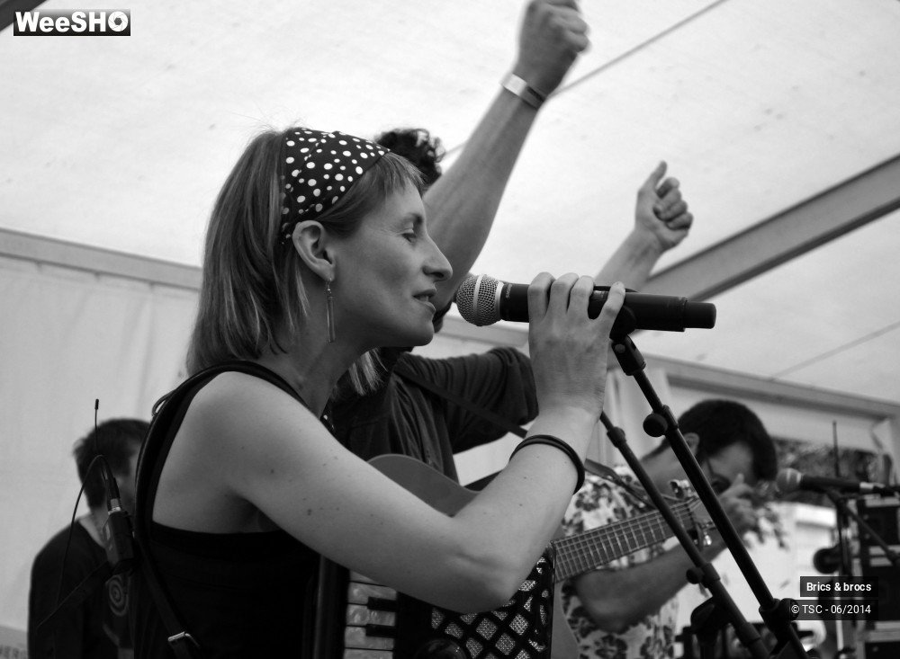 7/25 photos du spectacle Brics & brocs