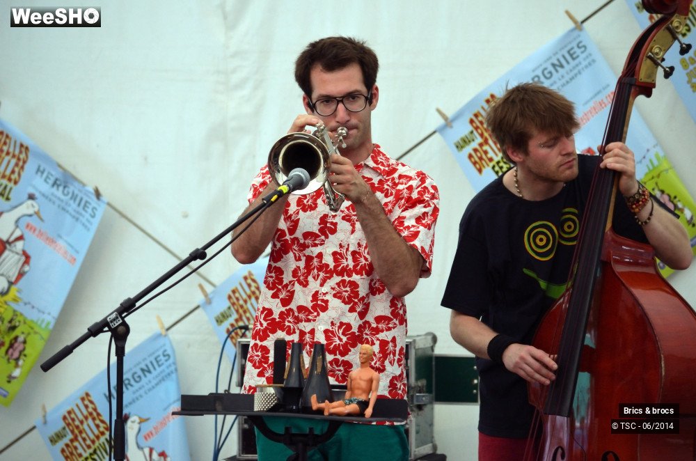 20/25 photos du spectacle Brics & brocs