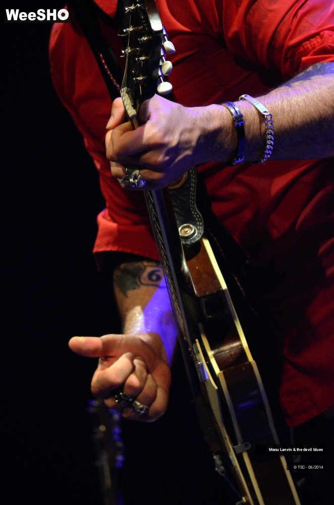 48/49 photos du spectacle Manu Lanvin & The devil Blues