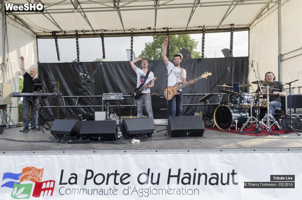 12/33 photos du spectacle Tribute Live