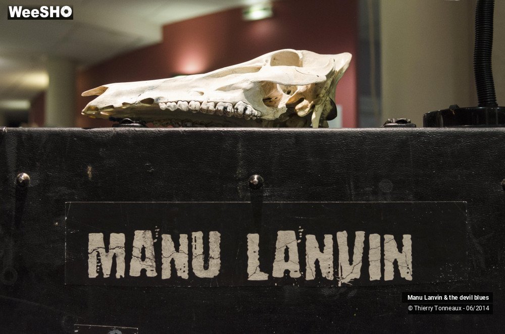 25/48 photos du spectacle Manu Lanvin & the Devil Blues