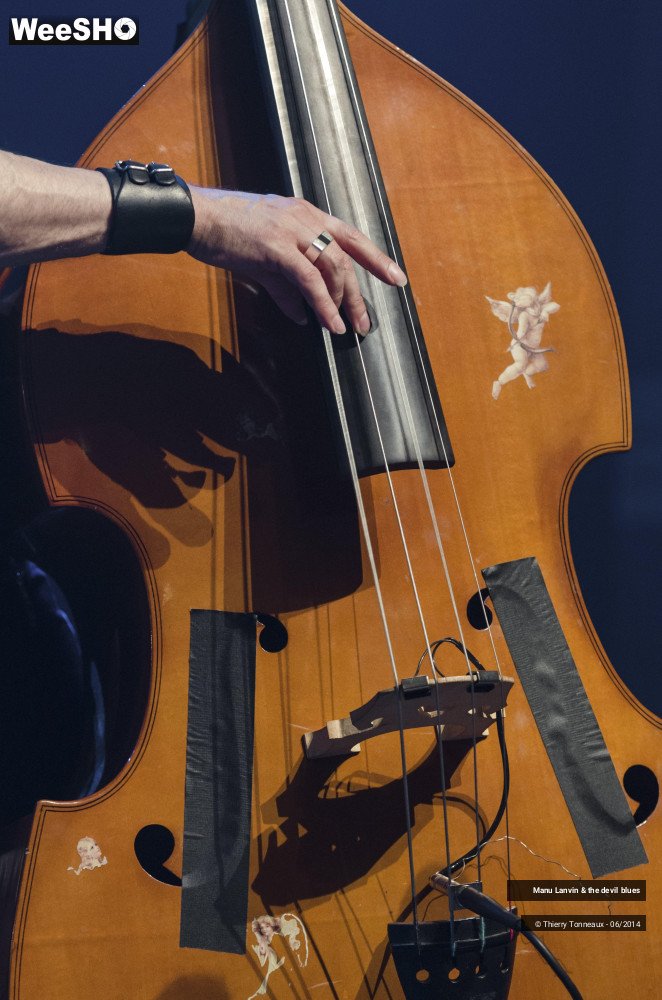 34/48 photos du spectacle Manu Lanvin & the Devil Blues