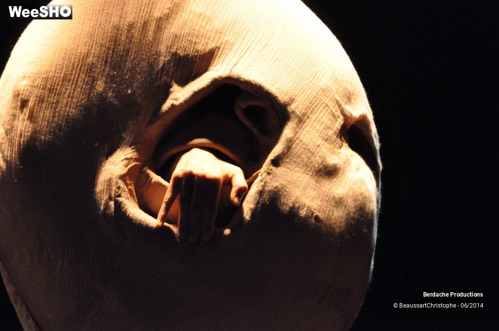 45/54 photos du spectacle Red Shoes