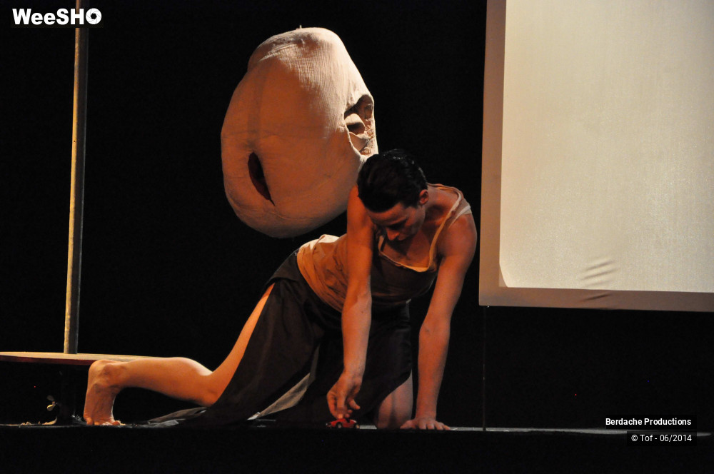 33/54 photos du spectacle Red Shoes