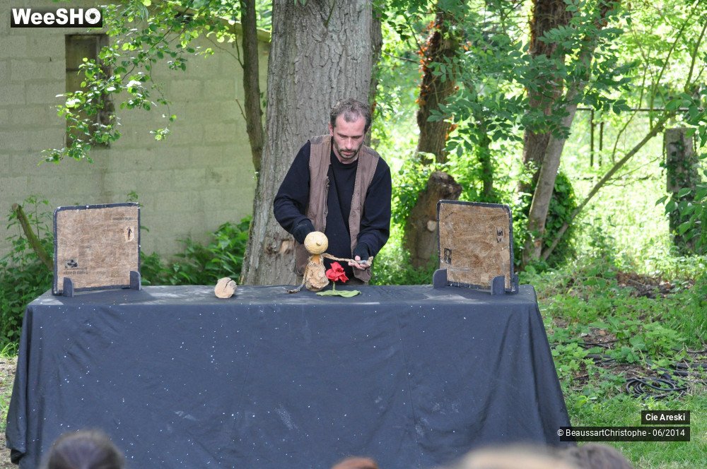 30/31 photos du spectacle Vagabundo