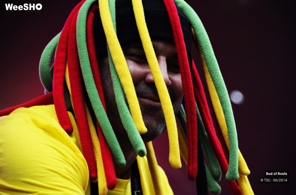 3/44 photos du spectacle Bud of Roots