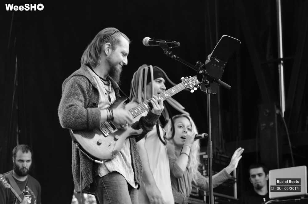 6/44 photos du spectacle Bud of Roots