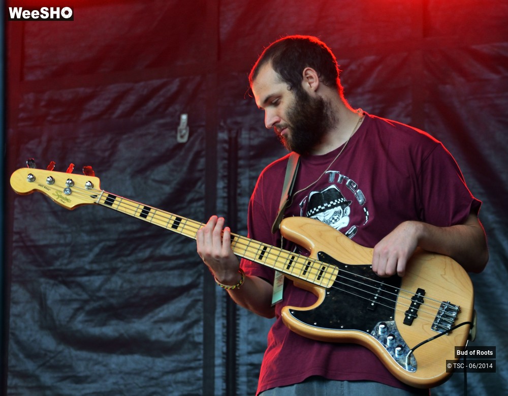 16/44 photos du spectacle Bud of Roots