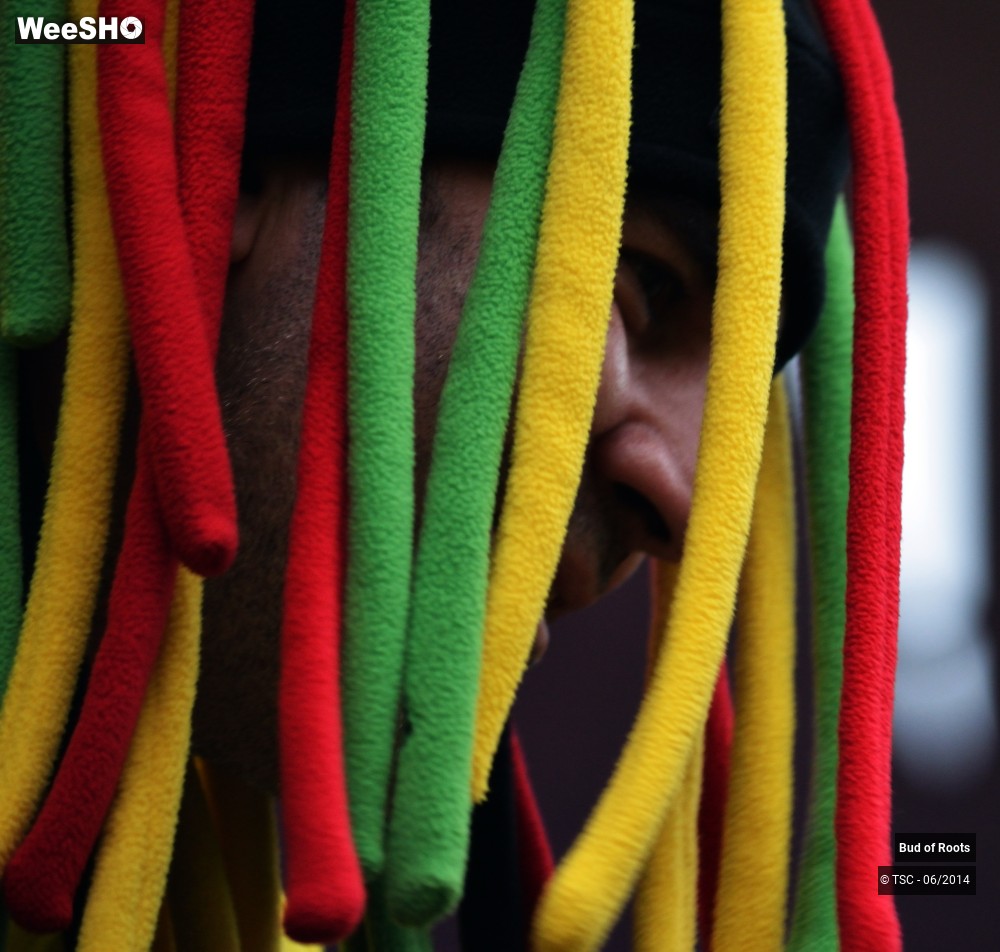 22/44 photos du spectacle Bud of Roots