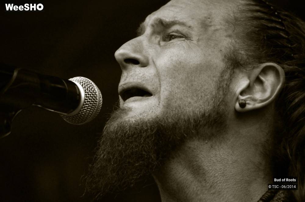 35/44 photos du spectacle Bud of Roots