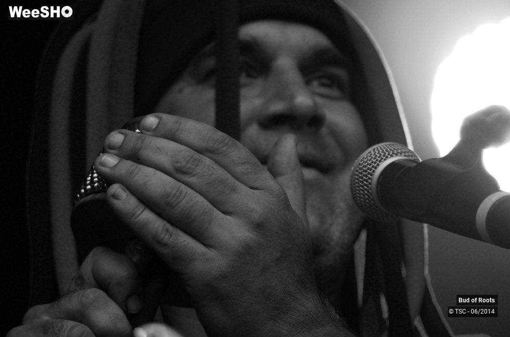 39/44 photos du spectacle Bud of Roots