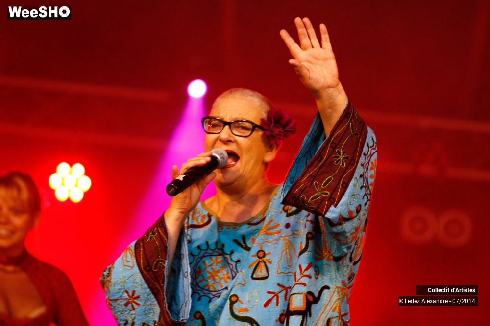 17/41 photos du spectacle Star 80' et Dj Mam's