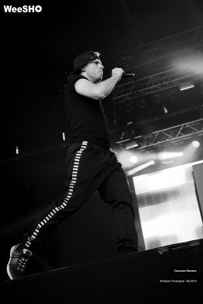 12/44 photos du spectacle Casseurs flowters
