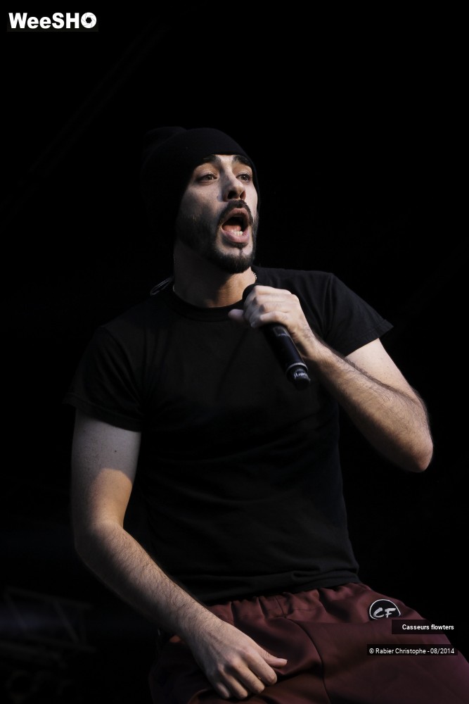 13/44 photos du spectacle Casseurs flowters