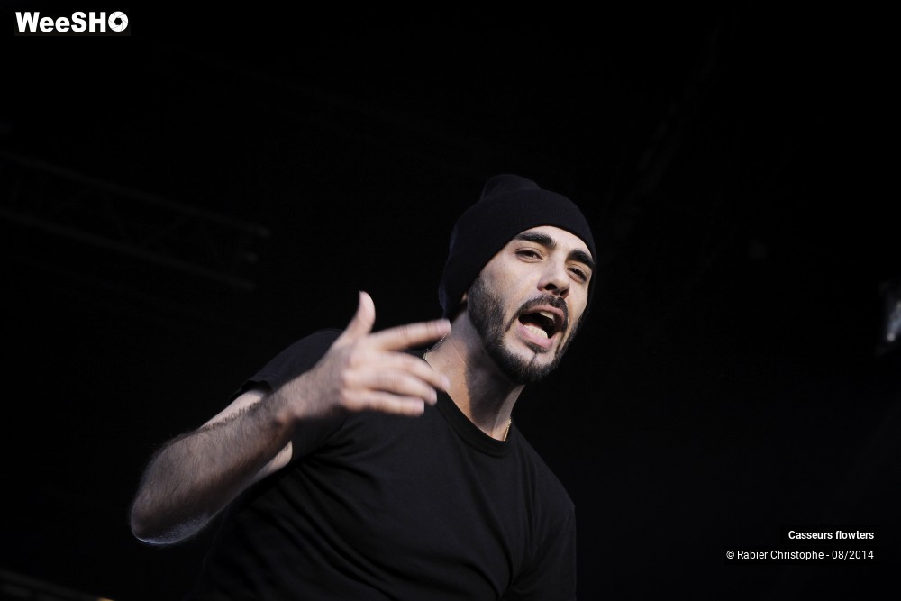 14/44 photos du spectacle Casseurs flowters