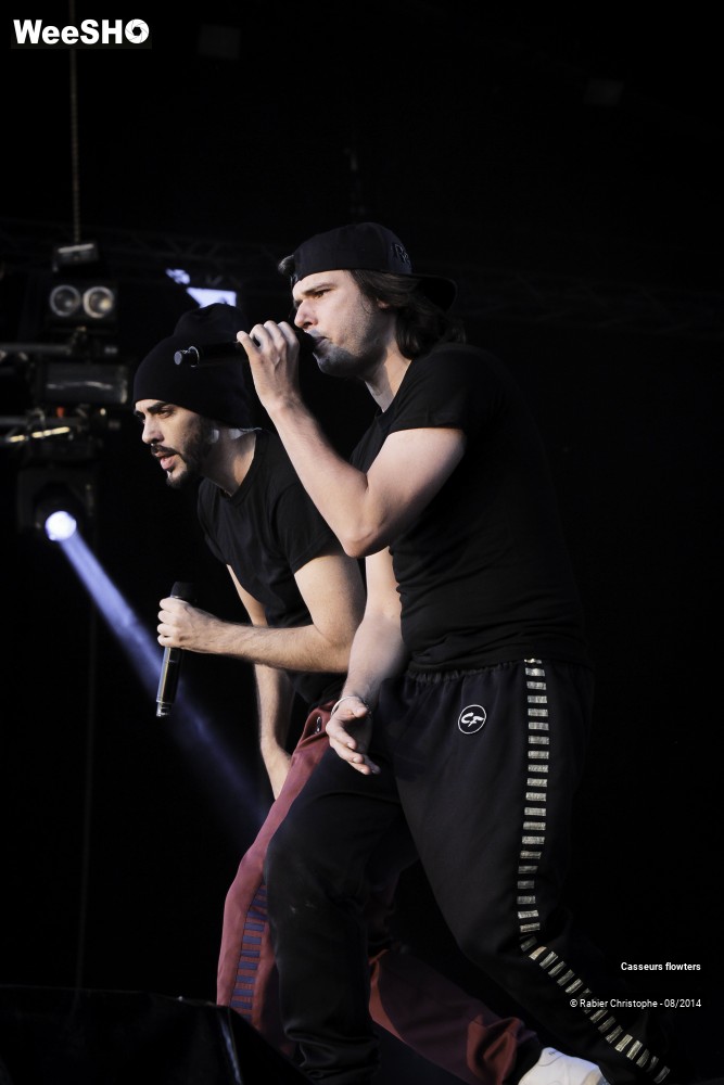 17/44 photos du spectacle Casseurs flowters
