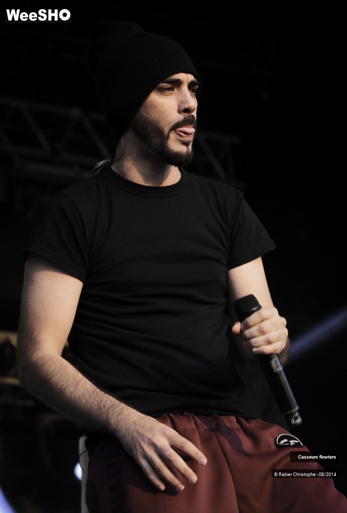 21/44 photos du spectacle Casseurs flowters