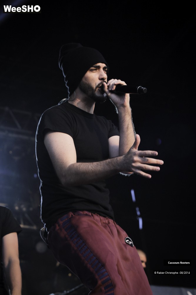 25/44 photos du spectacle Casseurs flowters