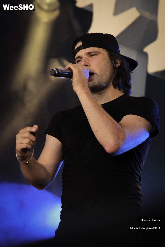 37/44 photos du spectacle Casseurs flowters