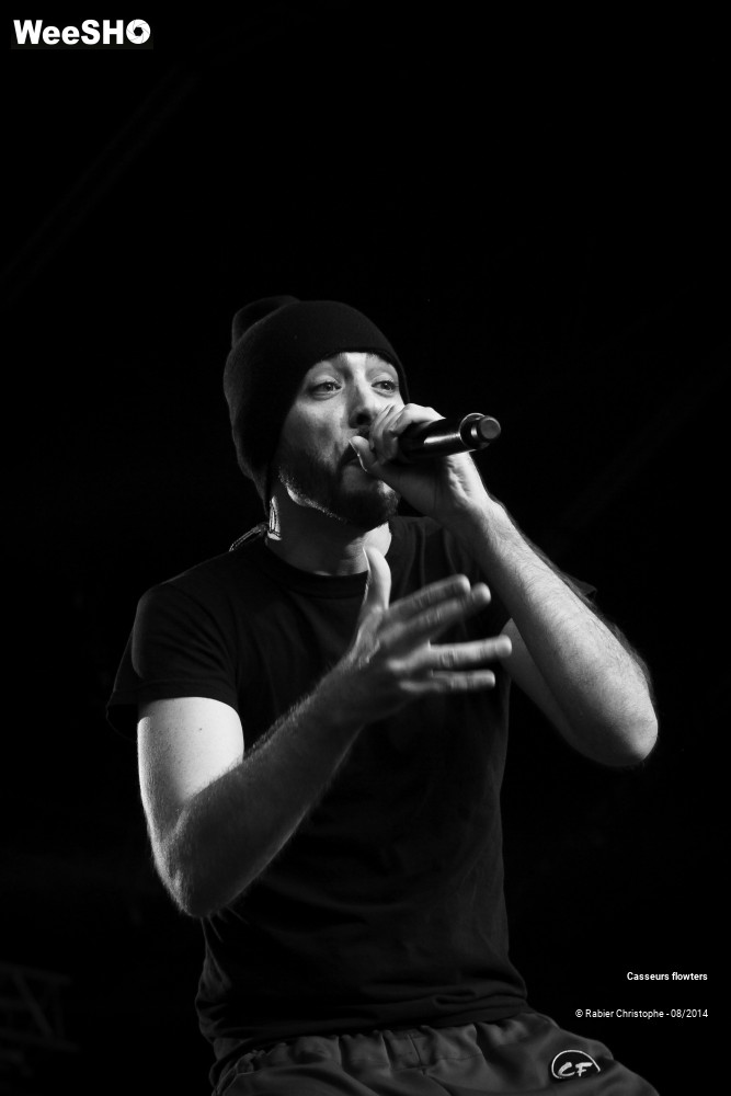 38/44 photos du spectacle Casseurs flowters