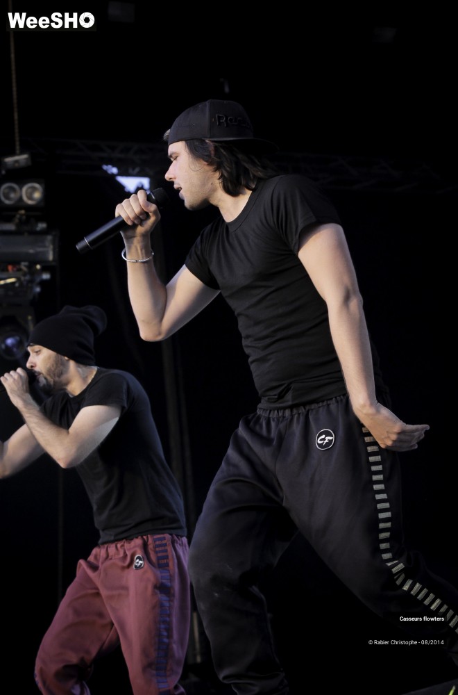 39/44 photos du spectacle Casseurs flowters