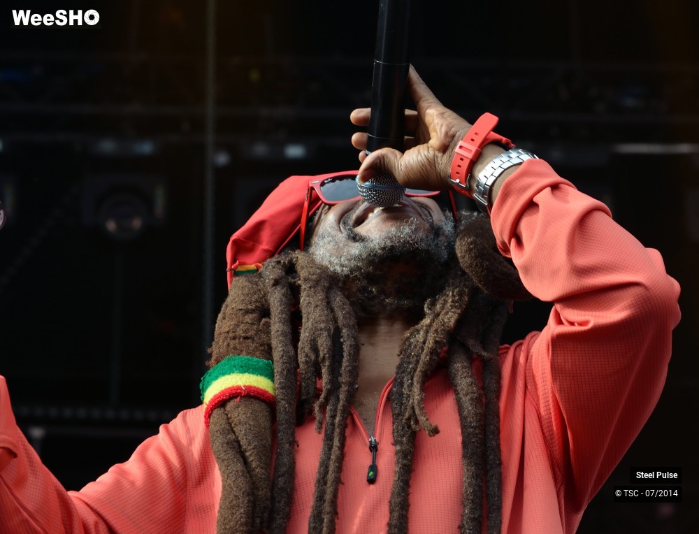 13/25 photos du spectacle Steel pulse