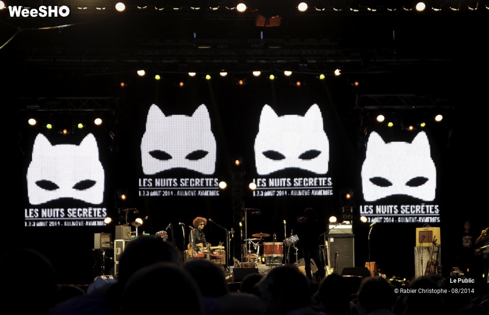 10/51 photos du spectacle ambiance Les Nuits Secretes 2014