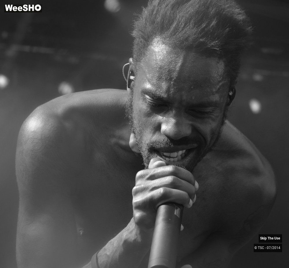 22/48 photos du spectacle Skip the use