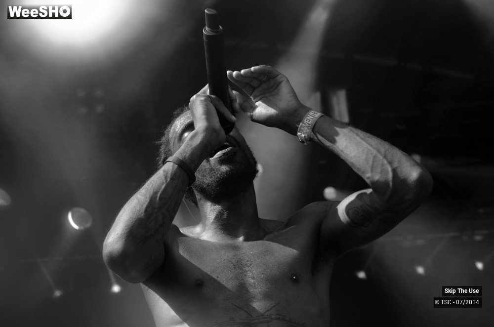 35/48 photos du spectacle Skip the use