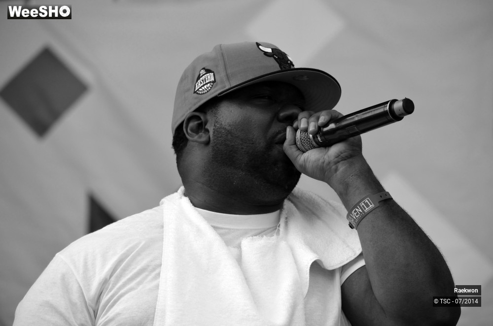 11/13 photos du spectacle Raekwon