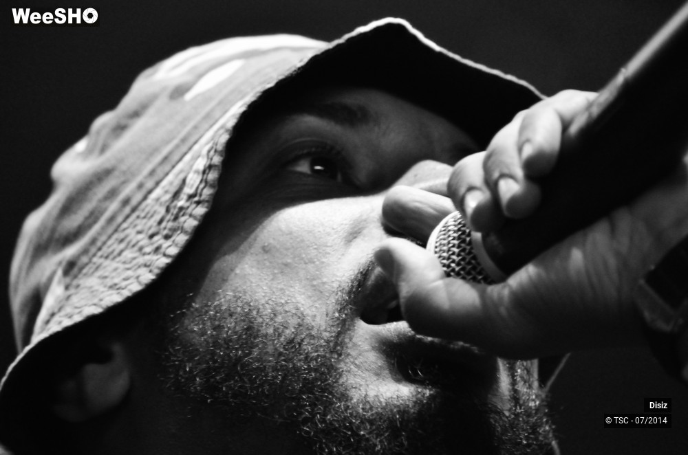 5/25 photos du spectacle Disiz