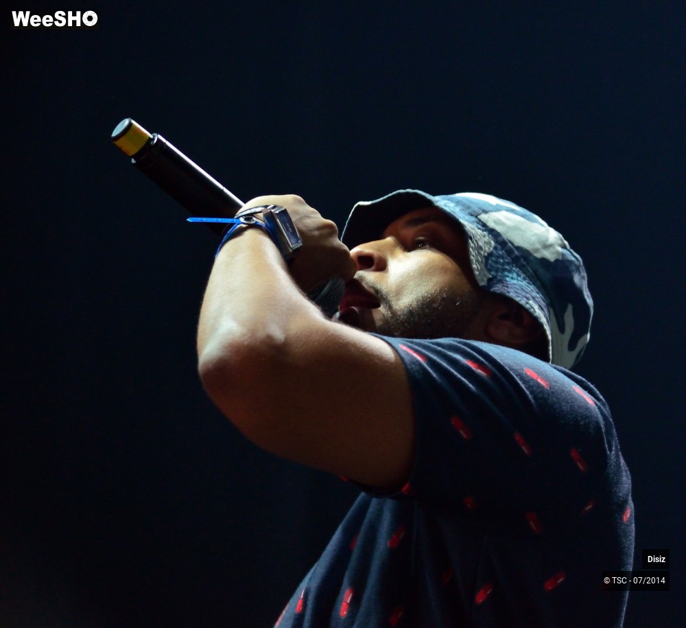 10/25 photos du spectacle Disiz