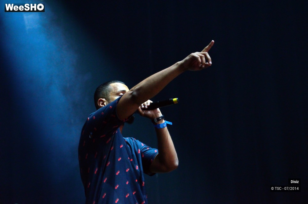 13/25 photos du spectacle Disiz