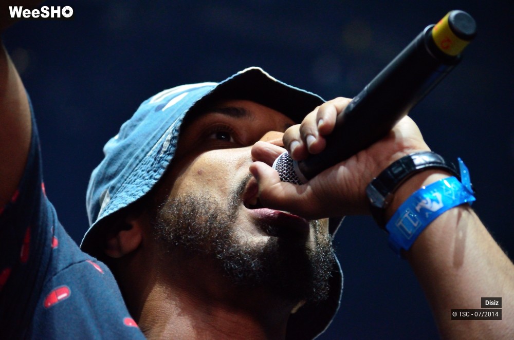 15/25 photos du spectacle Disiz