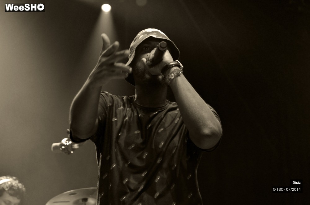 17/25 photos du spectacle Disiz