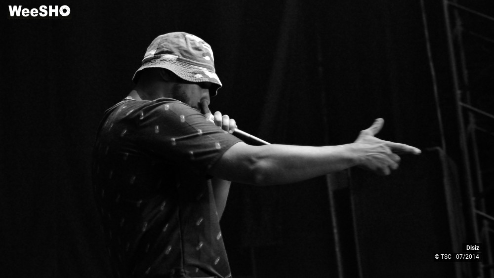 19/25 photos du spectacle Disiz