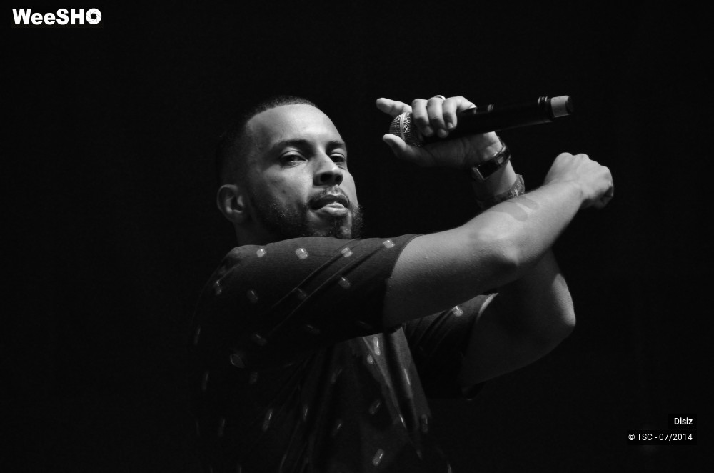 20/25 photos du spectacle Disiz