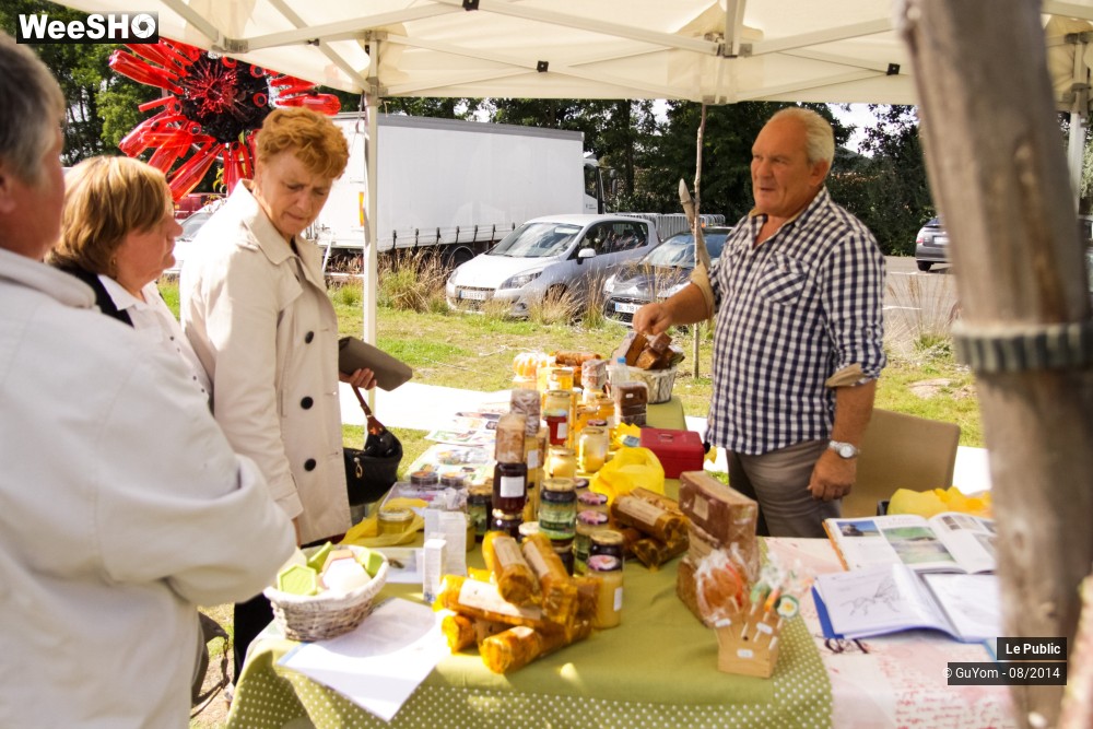 8/50 photos du spectacle Fête de Clôture NQE 2014 1/3