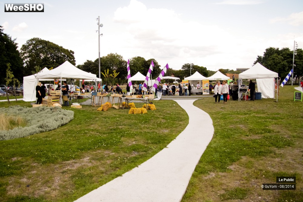 28/50 photos du spectacle Fête de Clôture NQE 2014 2/3