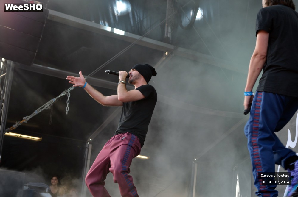 6/40 photos du spectacle Casseurs Flowters