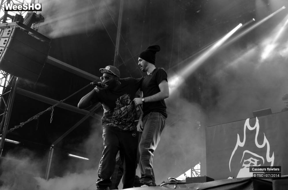 37/40 photos du spectacle Casseurs Flowters