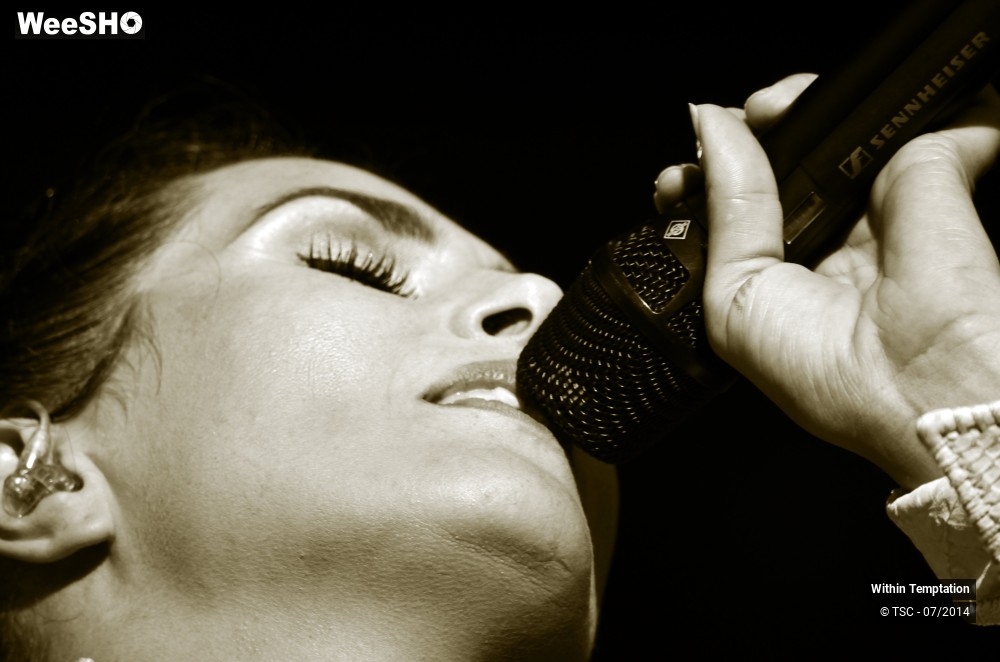 33/35 photos du spectacle Within Temptation