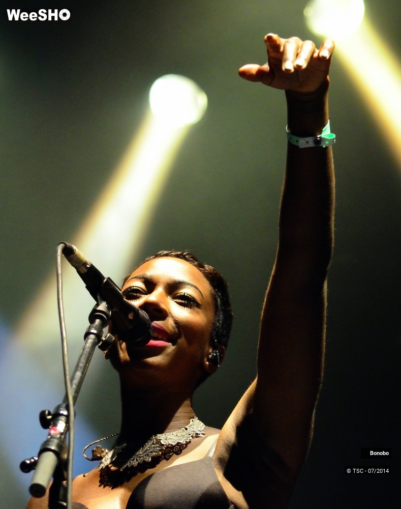6/23 photos du spectacle Bonobo