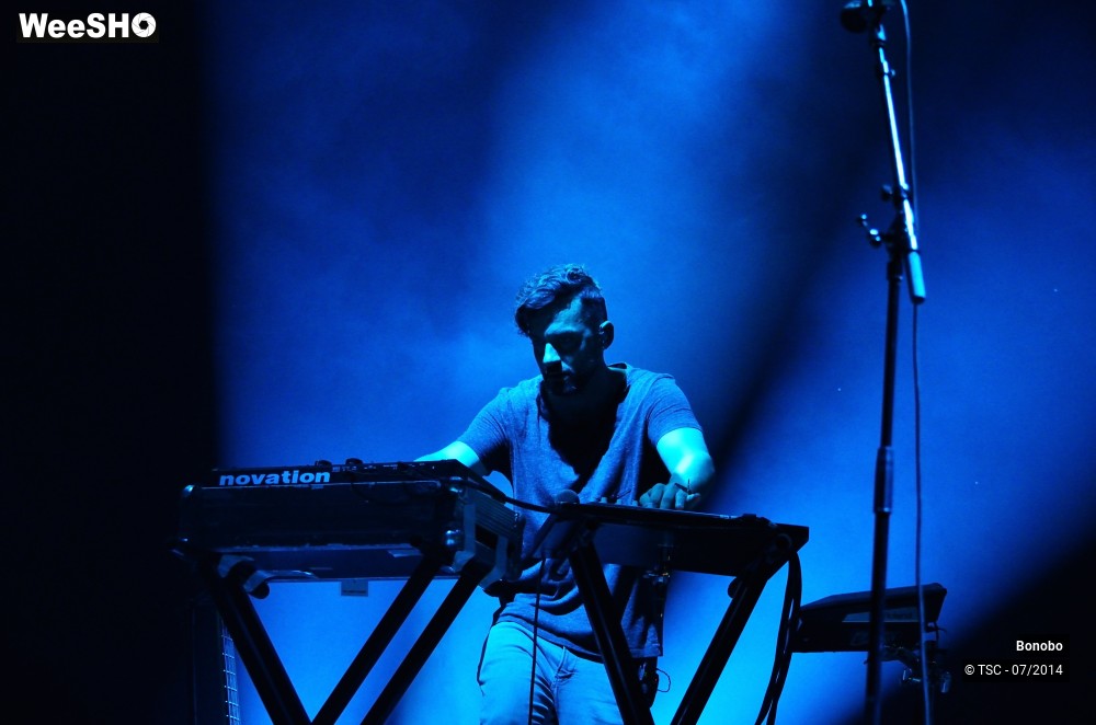 13/23 photos du spectacle Bonobo