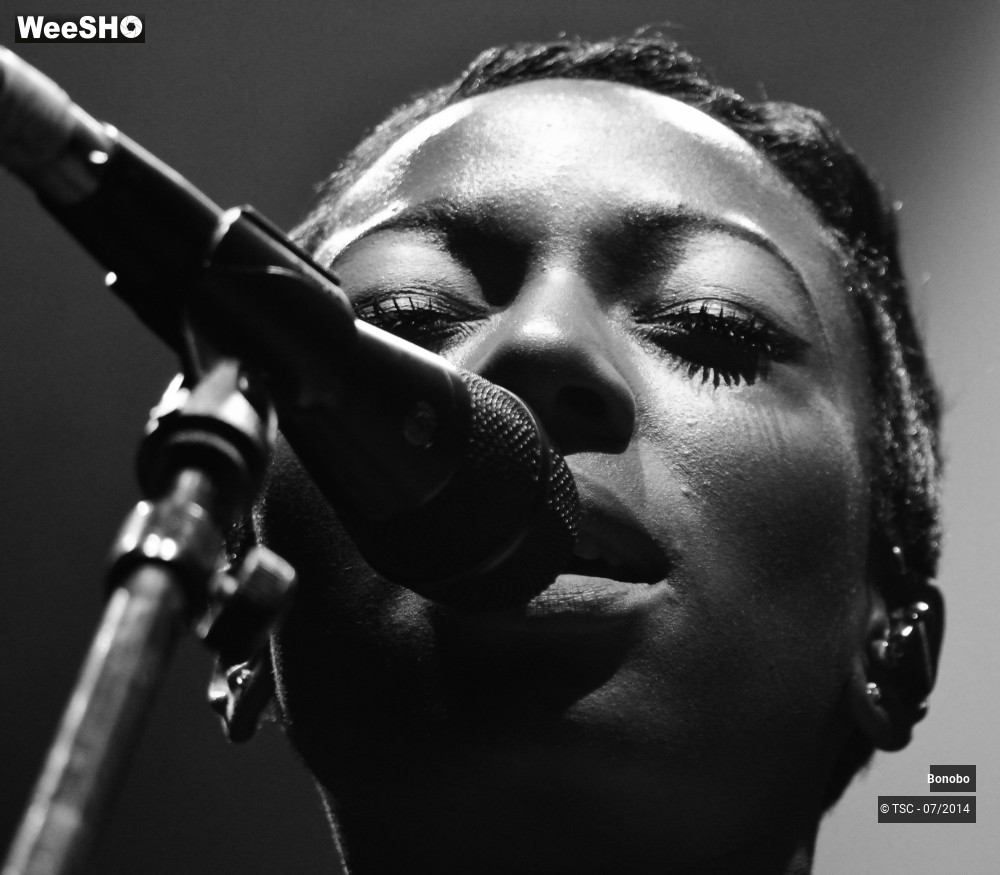 14/23 photos du spectacle Bonobo