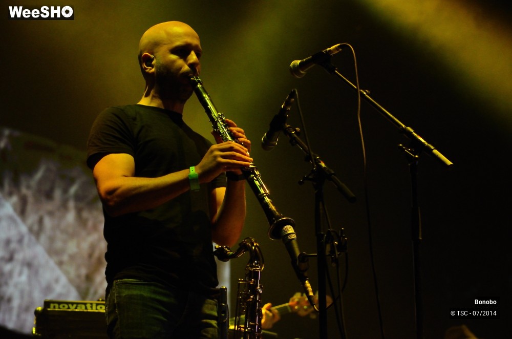 15/23 photos du spectacle Bonobo