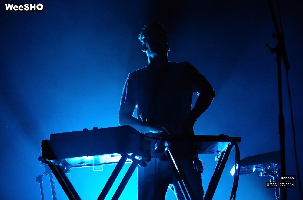 17/23 photos du spectacle Bonobo