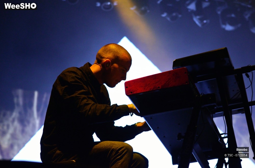 20/23 photos du spectacle Bonobo